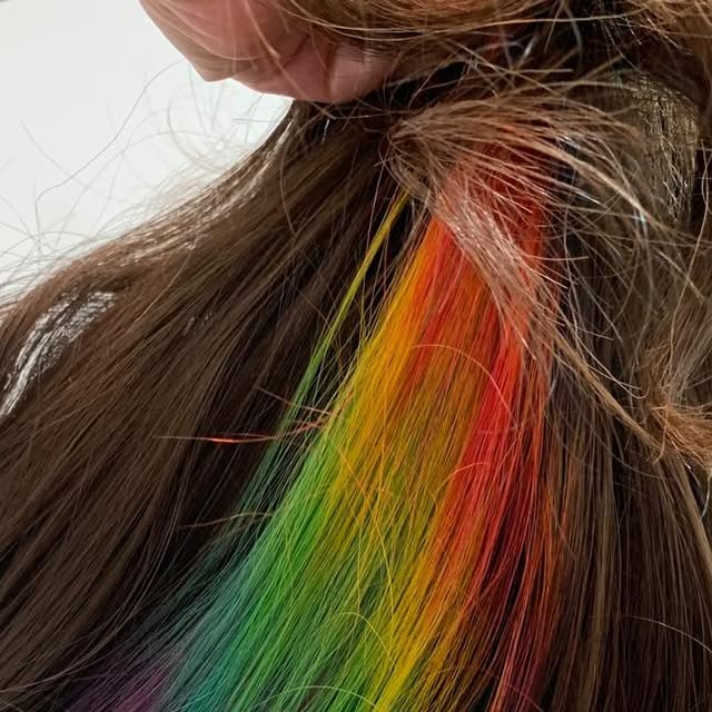 Hidden rainbow panel underneath natural brown hair